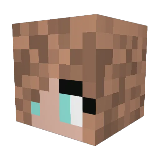 FENNALOVE Minecraft avatar head, 3D render