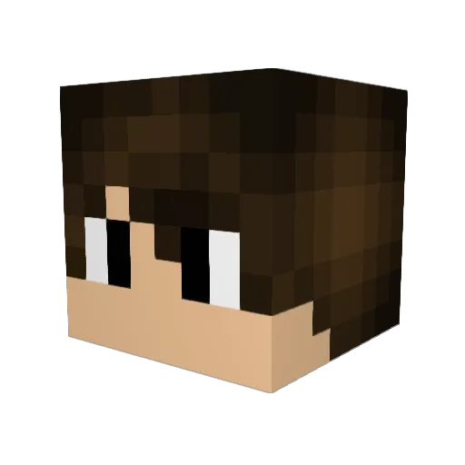 FER4777 Minecraft avatar head, 3D render