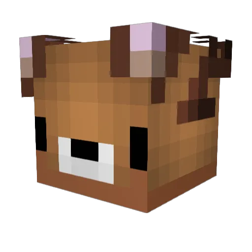 FERAE1 Minecraft avatar head, 3D render