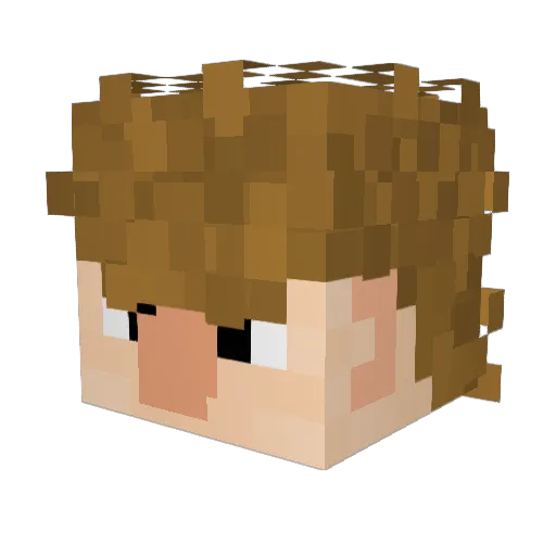 FERRlS Minecraft avatar head, 3D render