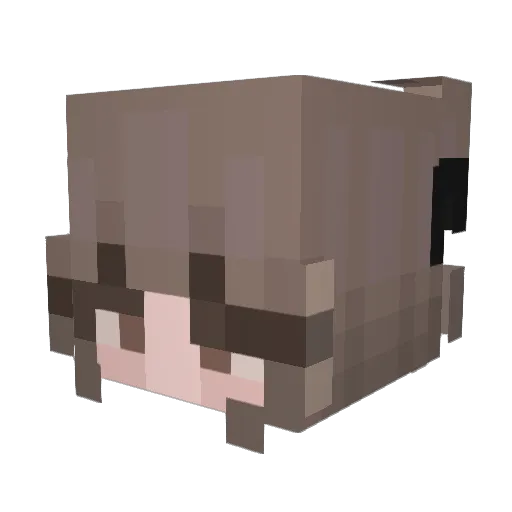 FESTANOGUETO Minecraft avatar head, 3D render