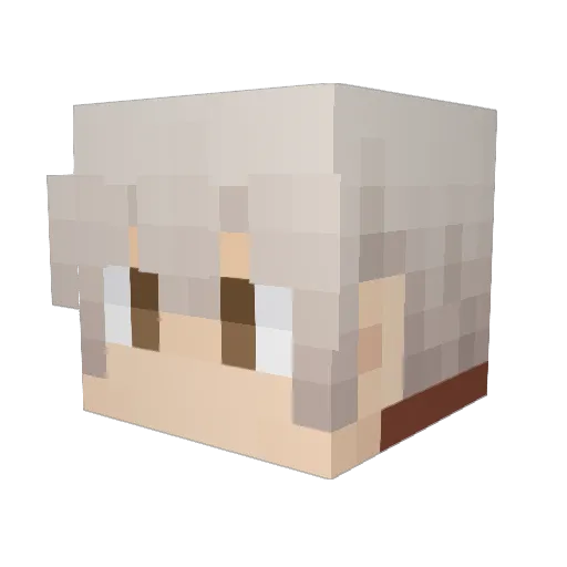 FETA8001 Minecraft avatar head, 3D render