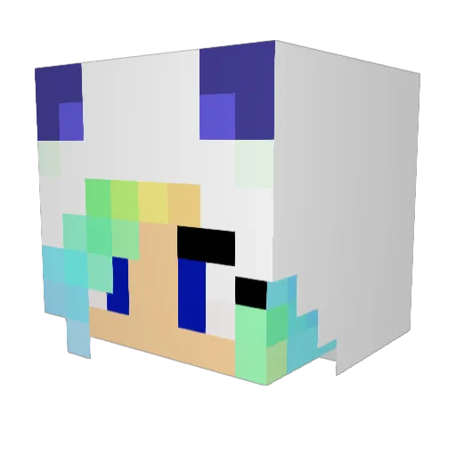 FEVvv Minecraft avatar head, 3D render
