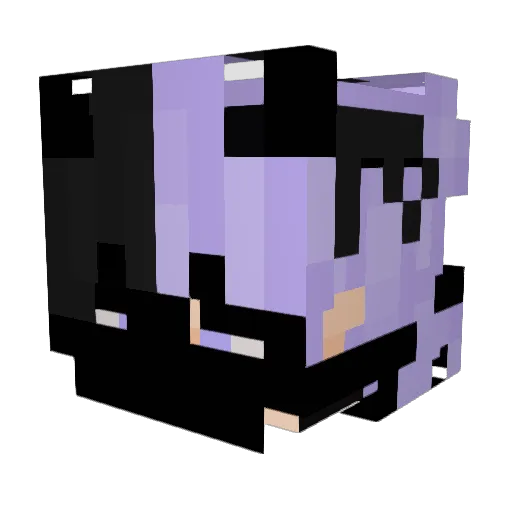 FEW17 Minecraft avatar head, 3D render