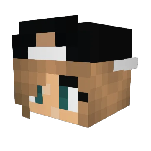 FF1AAA Minecraft avatar head, 3D render