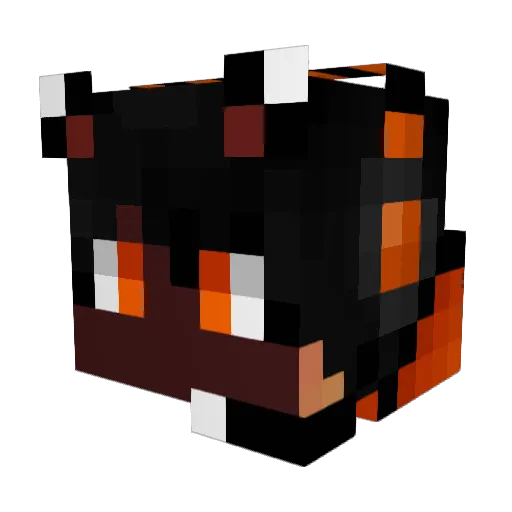 FFACMC11 Minecraft avatar head, 3D render