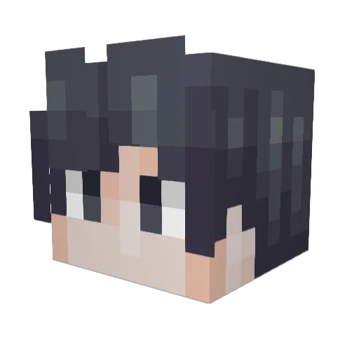 FFFFF_ Minecraft avatar head, 3D render