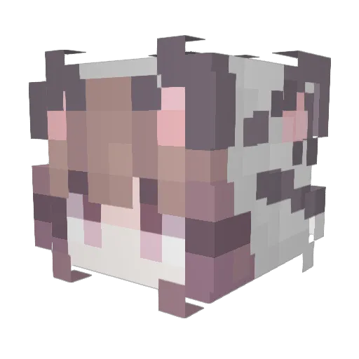 FFFHHH Minecraft avatar head, 3D render