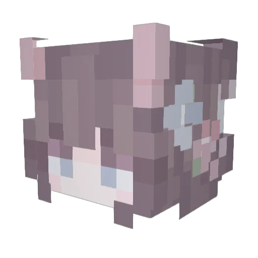 FFFYR Minecraft avatar head, 3D render