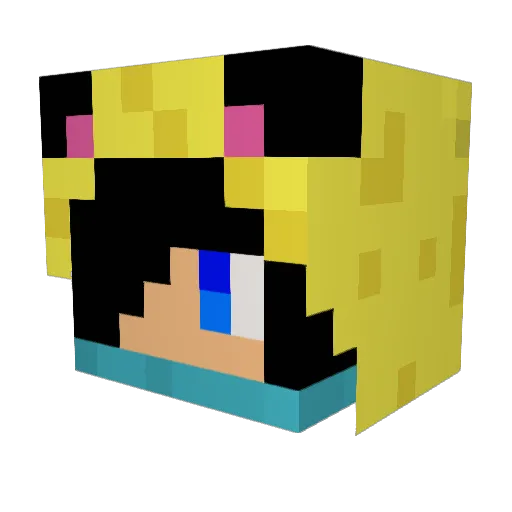 FFF_r Minecraft avatar head, 3D render