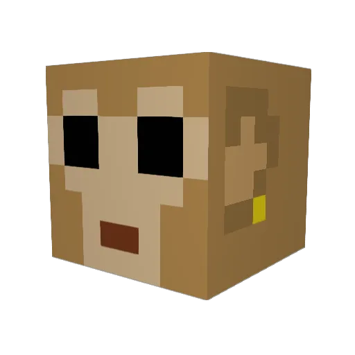 FFILLE Minecraft avatar head, 3D render