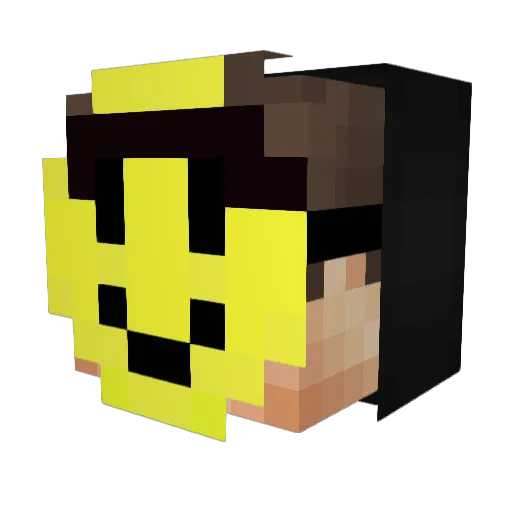 FFRREEEEZZEE Minecraft avatar head, 3D render