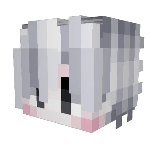 FFilar Minecraft avatar head, 3D render