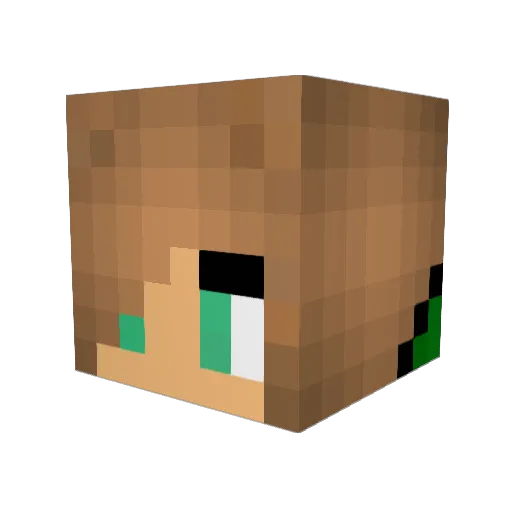 FGGT123 Minecraft avatar head, 3D render