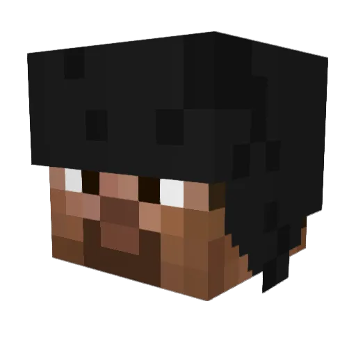 FHB1 Minecraft avatar head, 3D render
