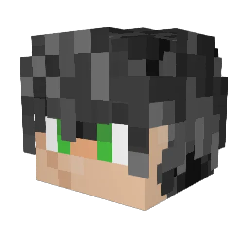 FHEBXHG Minecraft avatar head, 3D render