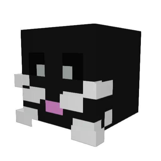 FHG_SchumaRo Minecraft avatar head, 3D render