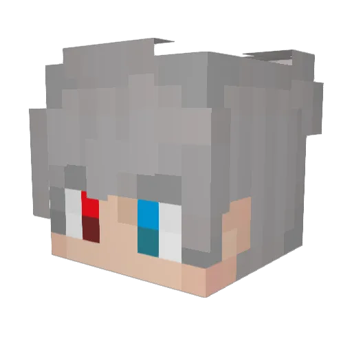 FHTLE Minecraft avatar head, 3D render
