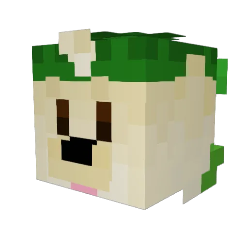 FHondgames18 Minecraft avatar head, 3D render
