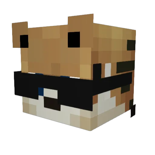 FIDO9191 Minecraft avatar head, 3D render