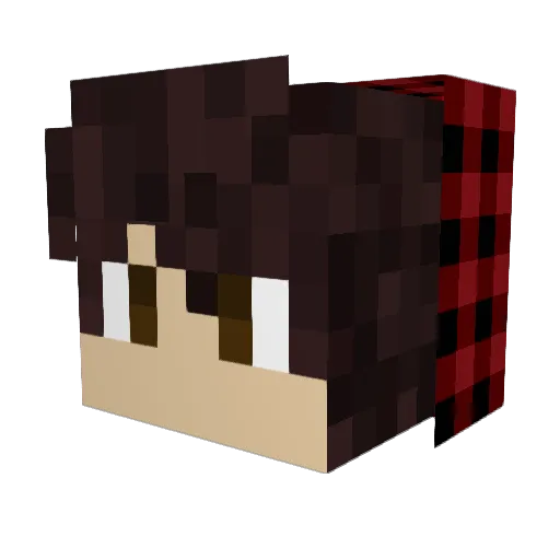 FIDOGO115 Minecraft avatar head, 3D render