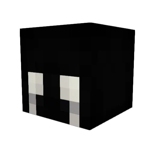 FIN0N Minecraft avatar head, 3D render