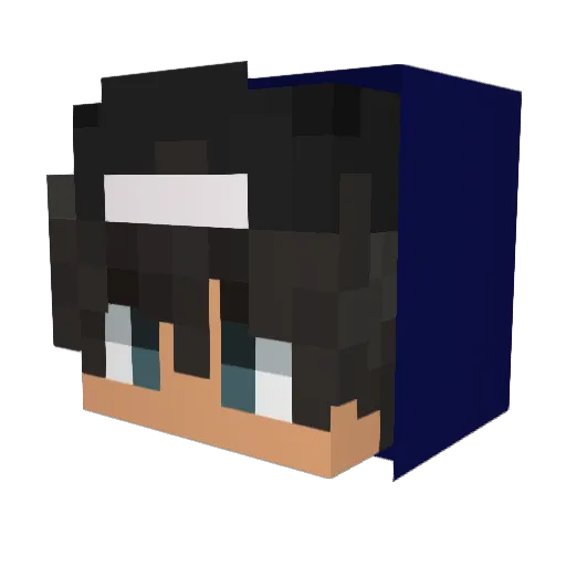 FIN54 Minecraft avatar head, 3D render