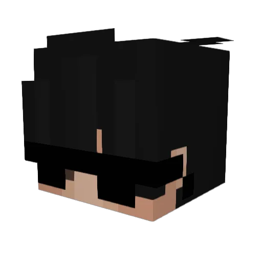 FINALLY234 Minecraft avatar head, 3D render
