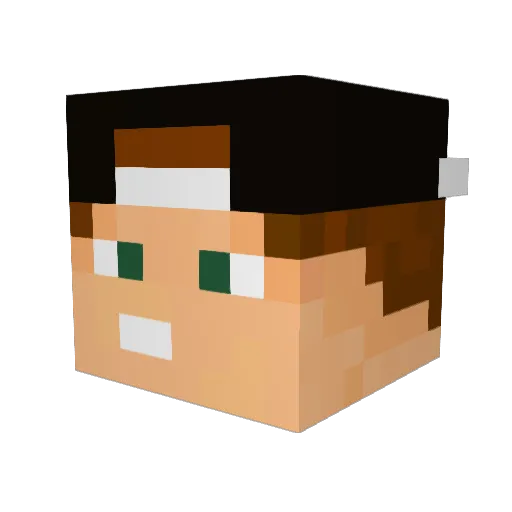 FINBOY110 Minecraft avatar head, 3D render