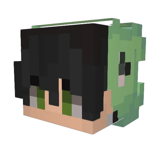 FINLEYWIST Minecraft avatar head, 3D render