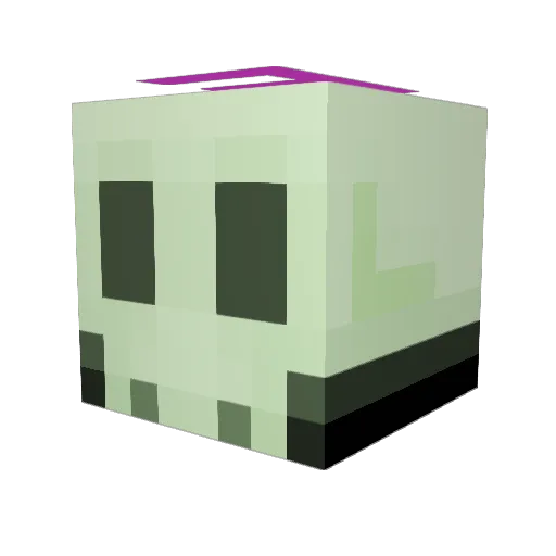 FINLEY_CRAFT Minecraft avatar head, 3D render