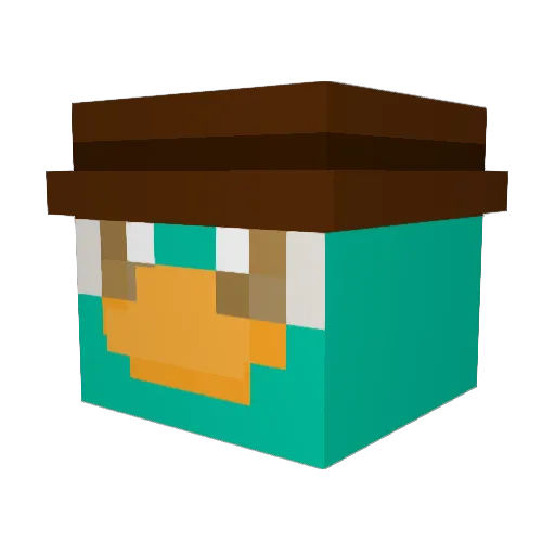 FINN1234COOL Minecraft avatar head, 3D render