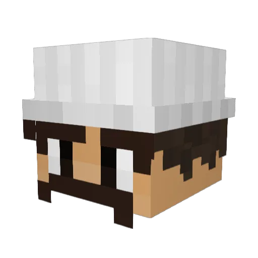 FINNISDABOMB78 Minecraft avatar head, 3D render