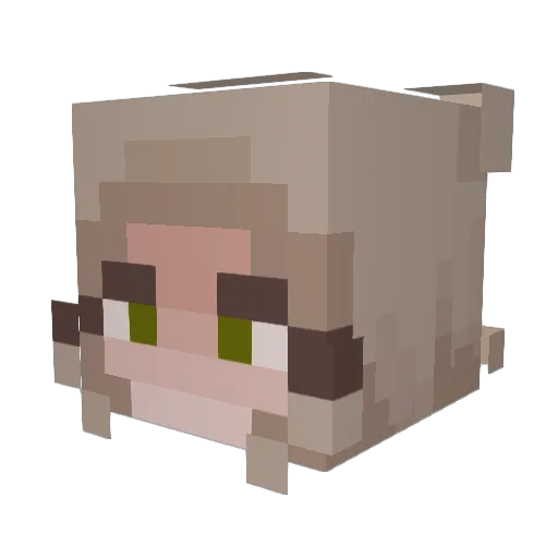 FINsnp11 Minecraft avatar head, 3D render