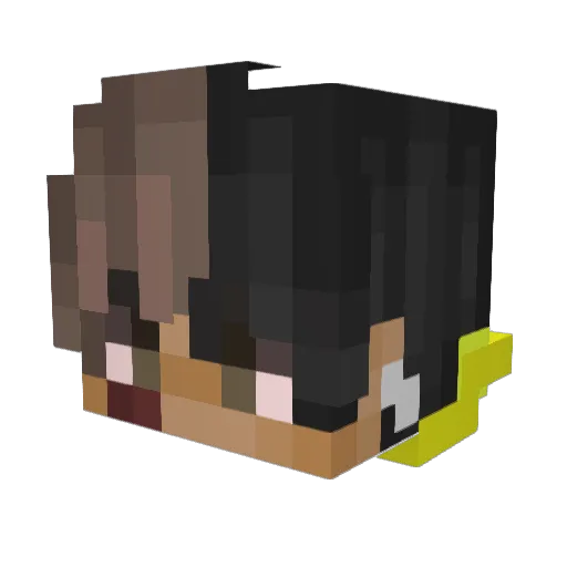 FIREFOXSKATE Minecraft avatar head, 3D render