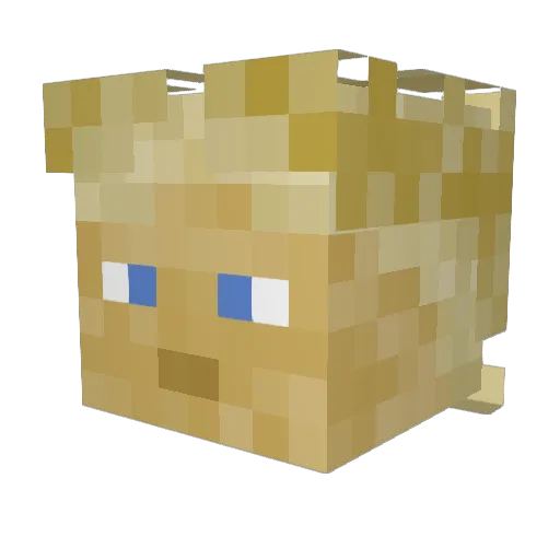 FIRELITE34 Minecraft avatar head, 3D render