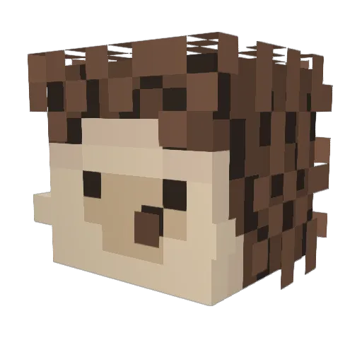 FIRE_FOXIS Minecraft avatar head, 3D render