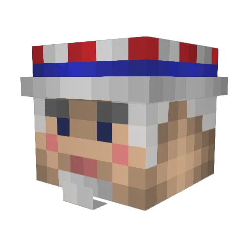 FISH_FINGAS Minecraft avatar head, 3D render