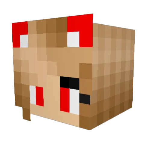FISKETJEJEN Minecraft avatar head, 3D render