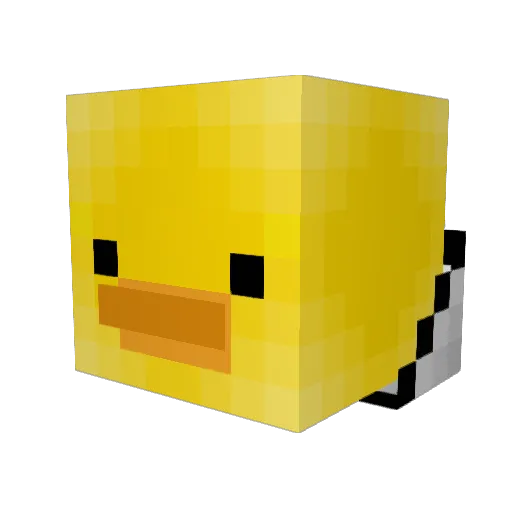 FITZ2 Minecraft avatar head, 3D render