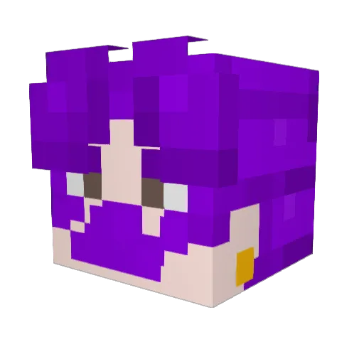 FITZH8 Minecraft avatar head, 3D render