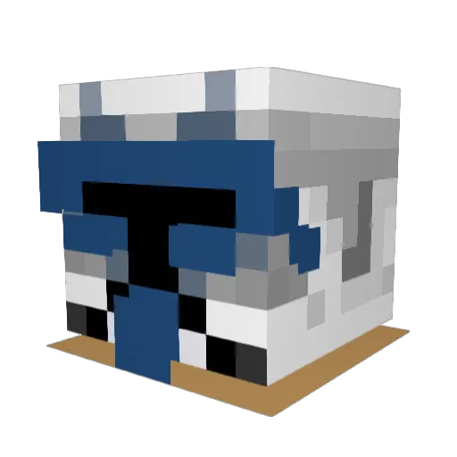 FIVAN_WHIPPER Minecraft avatar head, 3D render