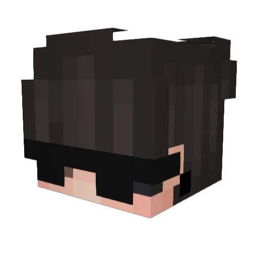 FIWBA Minecraft avatar head, 3D render