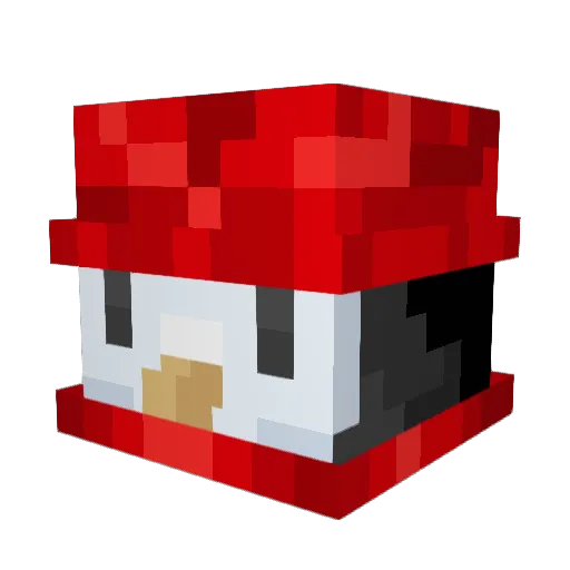 FIZZ_DADDYY Minecraft avatar head, 3D render