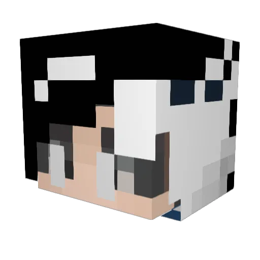 FI_VE Minecraft avatar head, 3D render