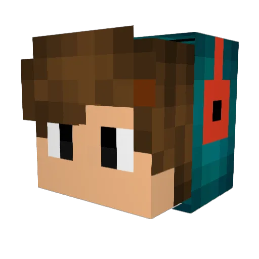 FIashizM Minecraft avatar head, 3D render