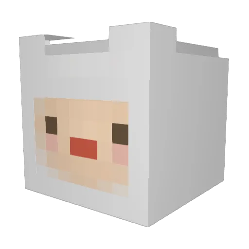 FInn8543 Minecraft avatar head, 3D render