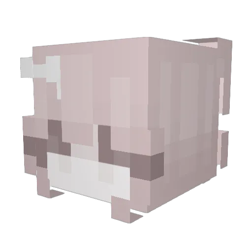 FIorasWorld Minecraft avatar head, 3D render