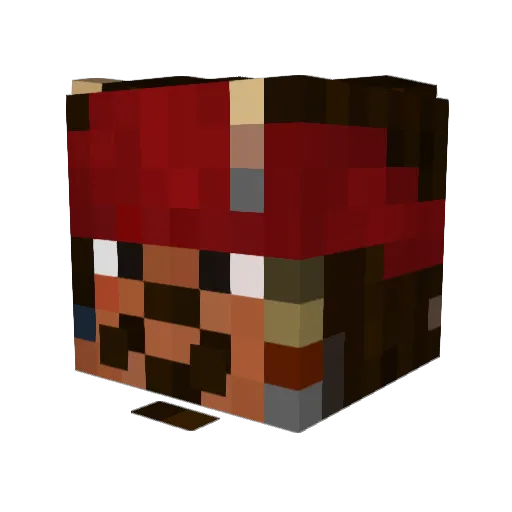 FIowless Minecraft avatar head, 3D render