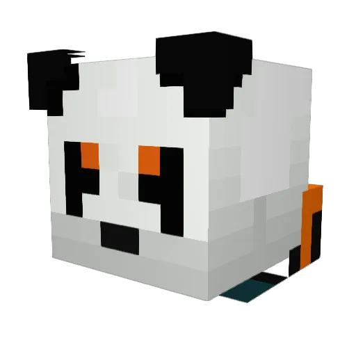 FIsherboy2704 Minecraft avatar head, 3D render